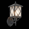 Светильник уличный ST Luce Lorne SL084.401.01