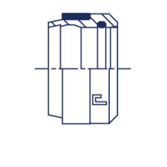 Кольцо R DS08 B4 CAST