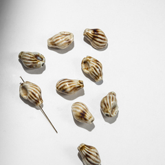 Бусина в форме морской ракушки, 14,6*21мм, кофейно-молочная, глазурированный фарфор