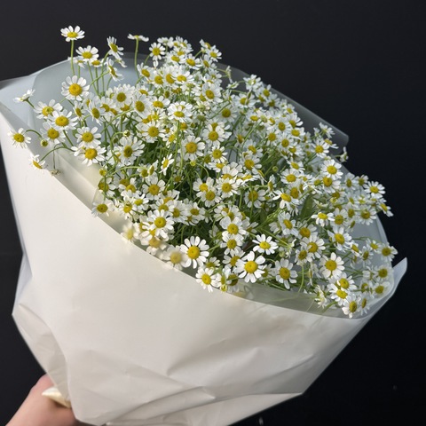 Букет ромашек