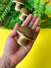 Грибы крупные, реалистичные, 7*6,5 см., набор 3 штуки.