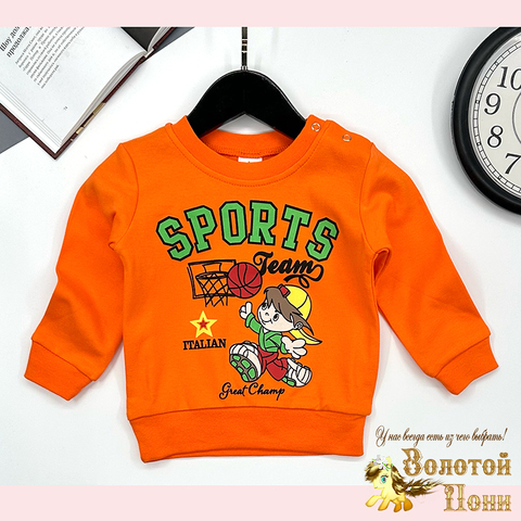 Джемпер хлопок м (1-4) 251106-GV229