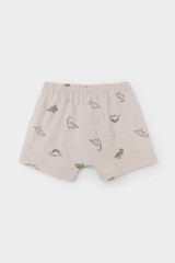 трусы/ уп  для мальчика  К 1930-2уп/индийский загар,бежевый,динозаврики