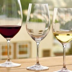 Набор бокалов для вина Riedel, Riesling Grand Cru, 4 шт, 400 мл, фото 6
