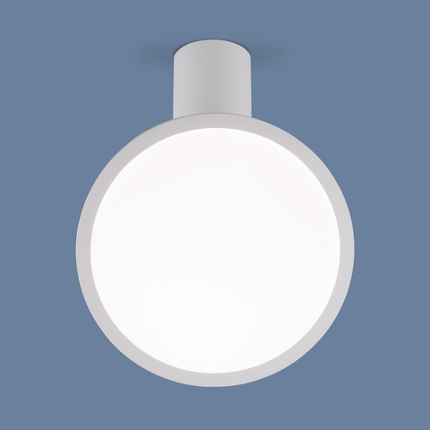 Накладной светодиодный светильник DLS029