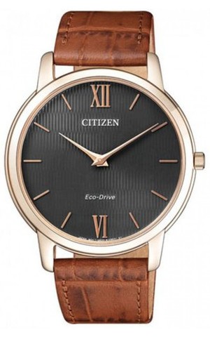 Наручные часы Citizen AR1133-15H фото