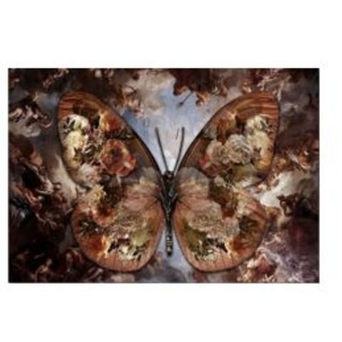 Картина Butterfly, коллекция 