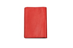 Обложка на паспорт комбинированная "У моря с книгой", красная