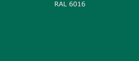 RAL6016