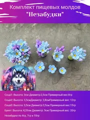 Комплект пищевых молдов 
