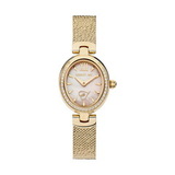 CERRUTI 1881 CIWLG2206503-1