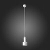 Светильник подвесной ST Luce ST102.503.12
