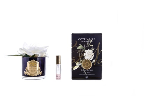 Ароматизированная роза в черной вазе и 1 спрей 16х10.5х10.5 Cote Noire French Rose ivory