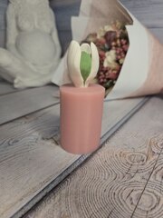 Силиконовая форма 