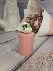 Силиконовая форма 