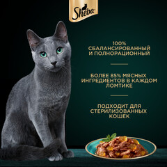 Sheba пауч для взрослых кошек (форель) желе 75 г