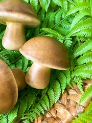 Грибы крупные, реалистичные, 7*6,5 см., набор 3 штуки.