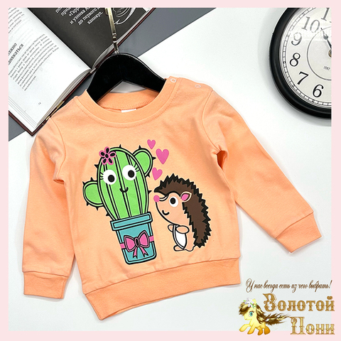 Джемпер хлопок д (1-4) 251106-GV235