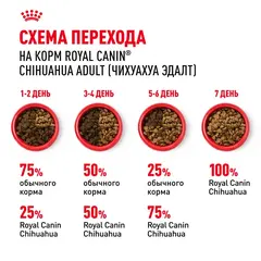 Royal Canin Chihuahua Adult сухой корм для собак породы Чихуахуа 3 кг
