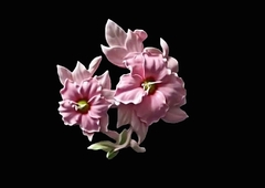 Силиконовый молд 