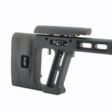 Ложе Орсис, Arms RTG