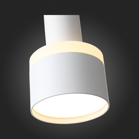 Светильник подвесной ST Luce ST102.503.12