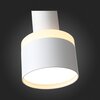 Светильник подвесной ST Luce ST102.503.12