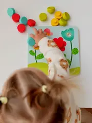 Первая мозаика малыша Tooky Toy