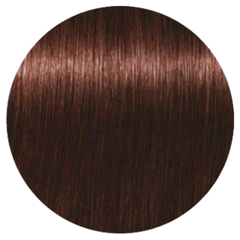 Schwarzkopf Igora Absolutes 6-70 (Темный русый медный натуральный) - Стойкая крем-краска для окрашивания зрелых волос