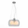 Светильник подвесной ST Luce Uovo SL512.113.03