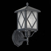 Светильник уличный ST Luce Lorne SL084.401.01