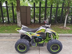 Квадроцикл YACOTA TYPHOON 250