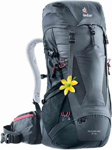 Картинка рюкзак туристический Deuter Futura Pro 34 SL Graphite-Black - 1