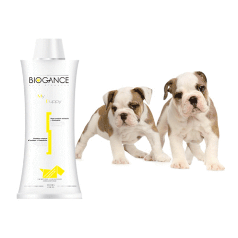 Biogance my puppy shampoo discount