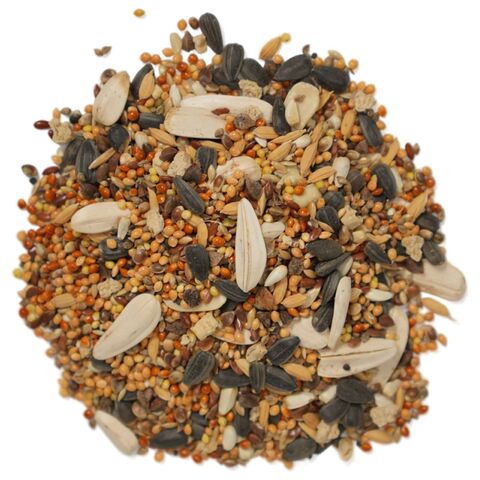 Корм Bambini Pets для средних попугаев, 800 г