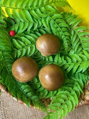 Грибы крупные, реалистичные, 7*6,5 см., набор 3 штуки.