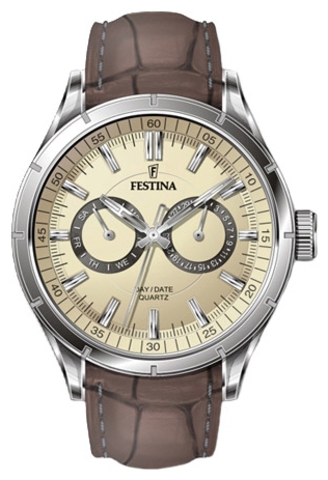 Наручные часы Festina F16781/2 фото