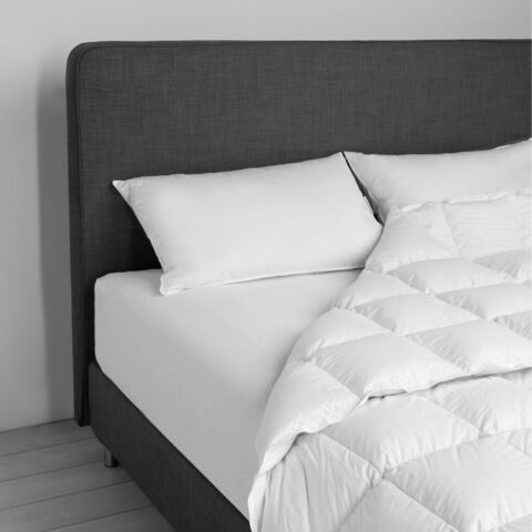 Одеяло очень теплое 200х220 DaunenStep D600 Cold Winter