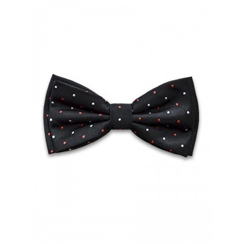 Бабочка Tsarevich 34