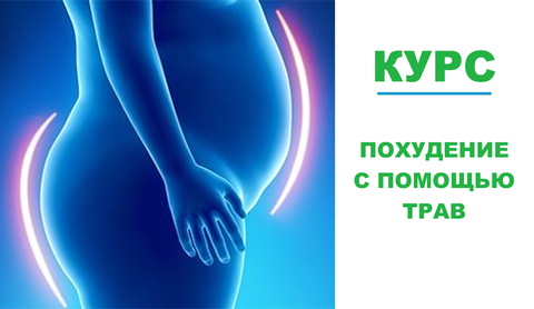 Курс. Похудение с помощью трав