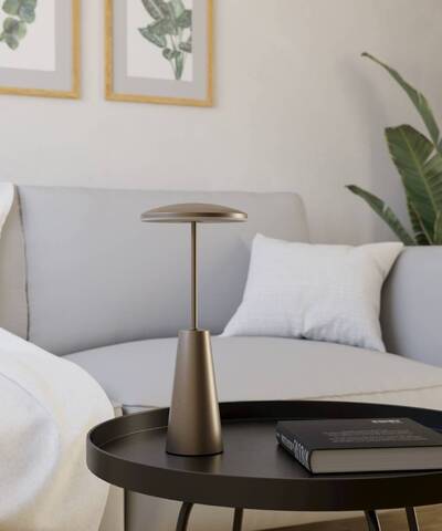 Аккумуляторная настольная лампа Eglo PICCOLA 900924