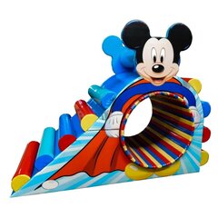 Веселое колесо "Микки" (120х180х160 см)