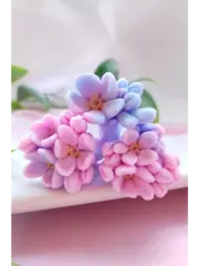 Комплект пищевых молдов 