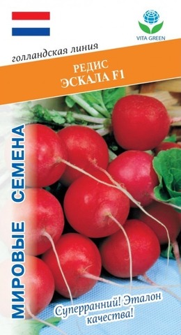 Семена Редис Эскала F1 (Enza Zaden)