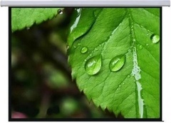 Проекционный экран Mr.Pixel MSPSBB167V2 305 см