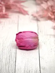 Пищевой молд 