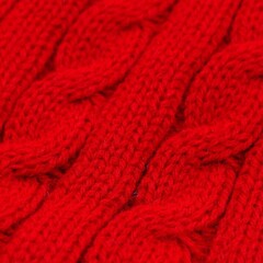 Lion свитер для собак LMK-H6 XS (спинка 20 см)