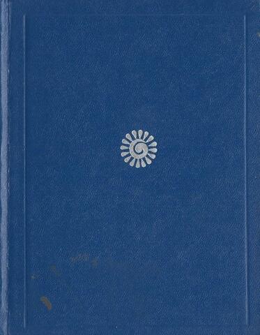 Рябиновый костер