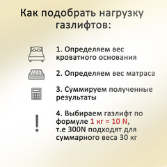 Газ лифт для подьемного механизма 1000NW (385мм)