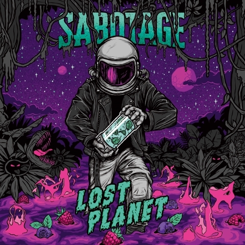 https://static.insales-cdn.com/images/products/1/3003/583355323/Пиво_Sabotage_Lost_Planet_Blueberry_Raspberry___Mint.jpeg